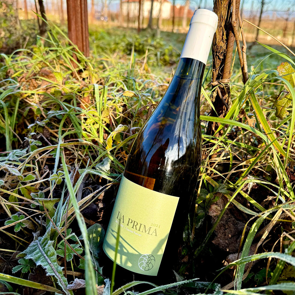 La Prima Souvignier Gris Veneto IGT  -  Tenuta Do Leoni - vaigustando