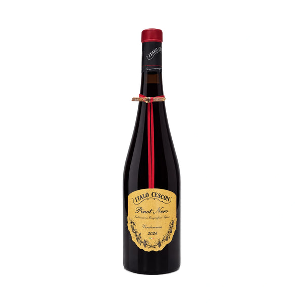 Pinot Noir Veneto IGT
