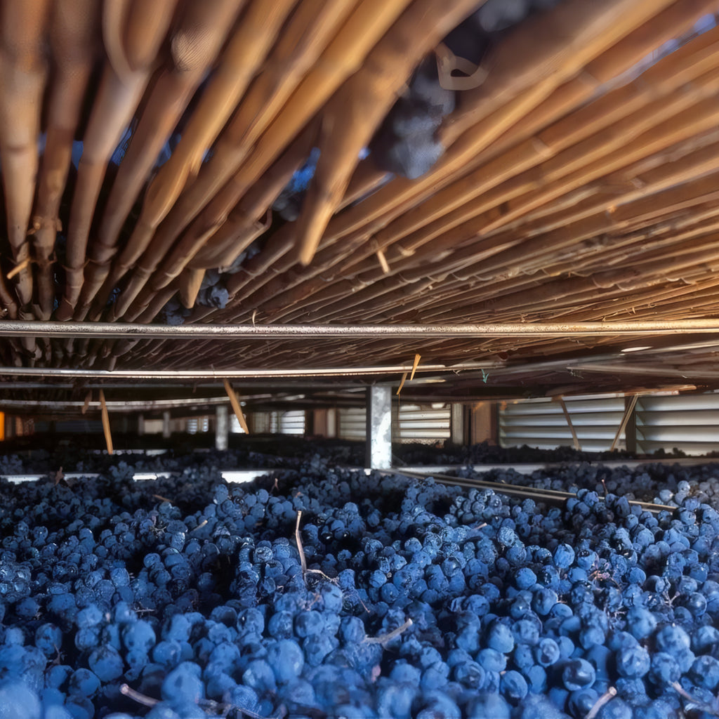 Amarone della Valpolicella D.O.C.G. 2013  -  Tenuta Trabucchi - vaigustando