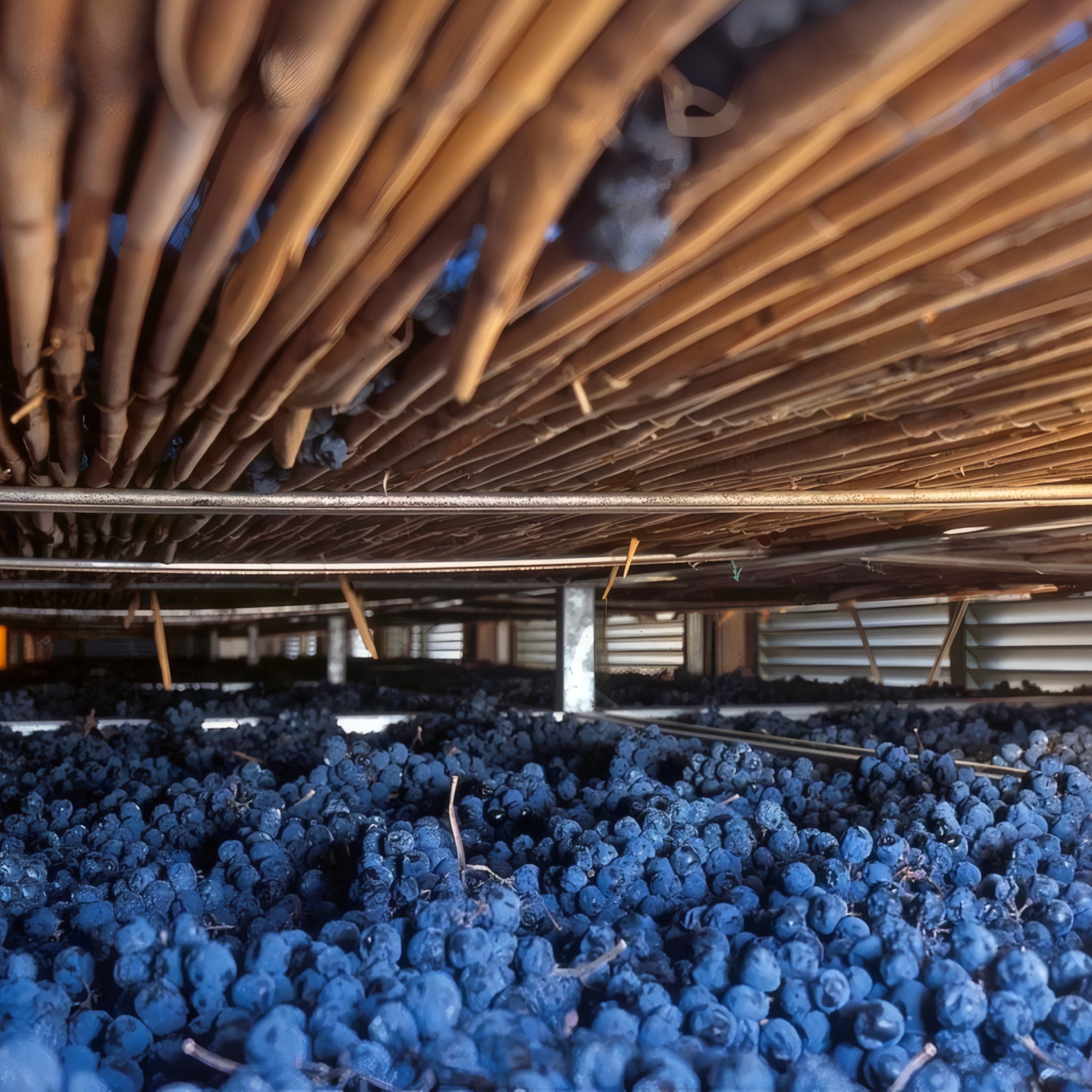 Amarone della Valpolicella D.O.C.G. 2013  -  Tenuta Trabucchi - vaigustando