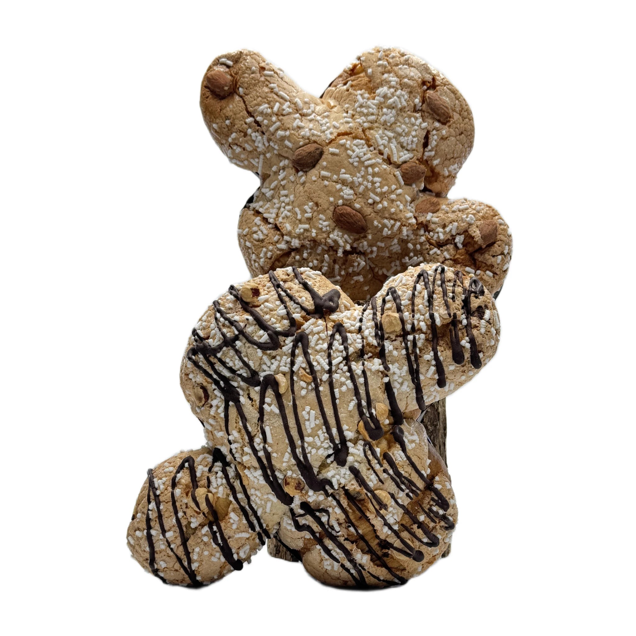 Colomba Pasquale con cioccolato  -  Bottega Bianchin - vaigustando
