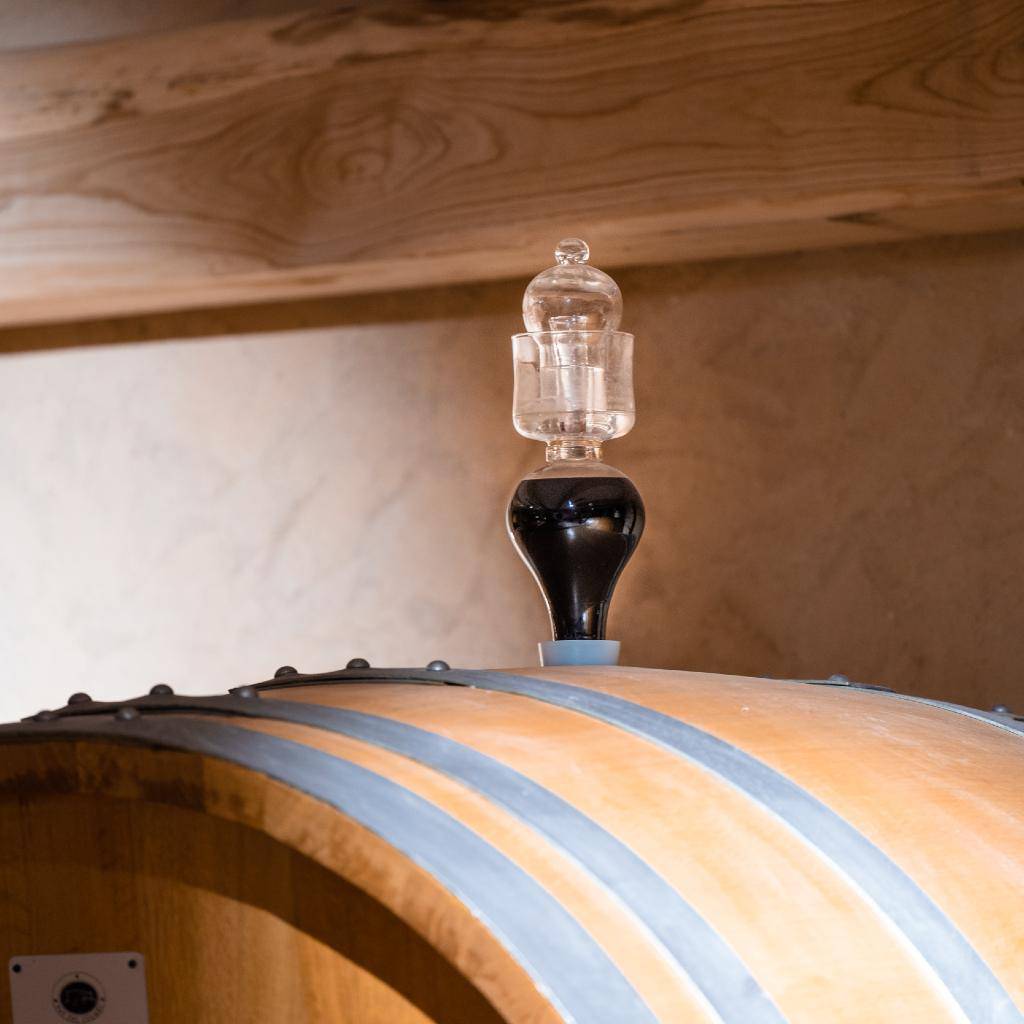 Recantina Asolo Montello DOC 2016  -  Pat del Colmel - vaigustando