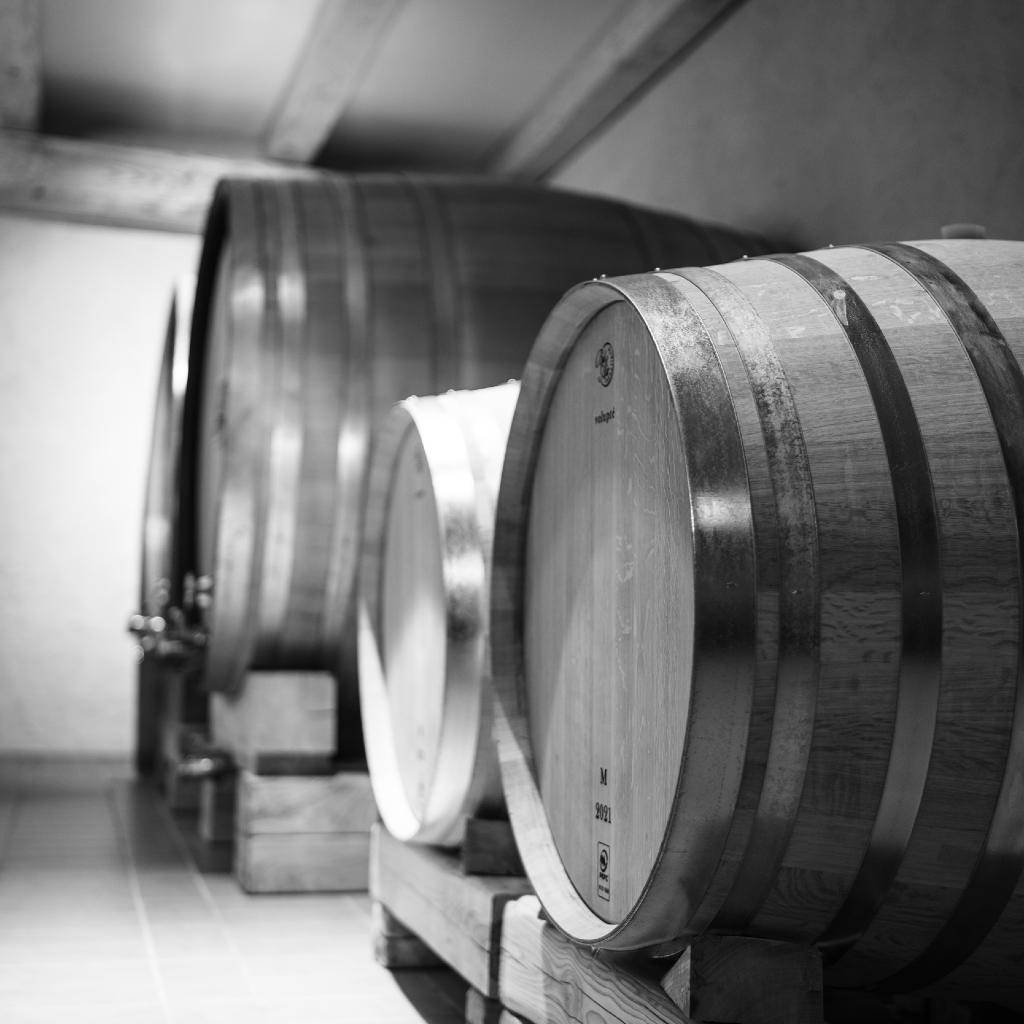 Recantina Asolo Montello DOC 2016  -  Pat del Colmel - vaigustando