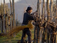 Duse Extra Dry Sparkling Wine 2022 Vintage