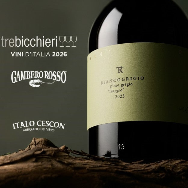 TesiRare BiancoGrigio Pinot Grigio "integro" Biologico  -  Italo Cescon - vaigustando