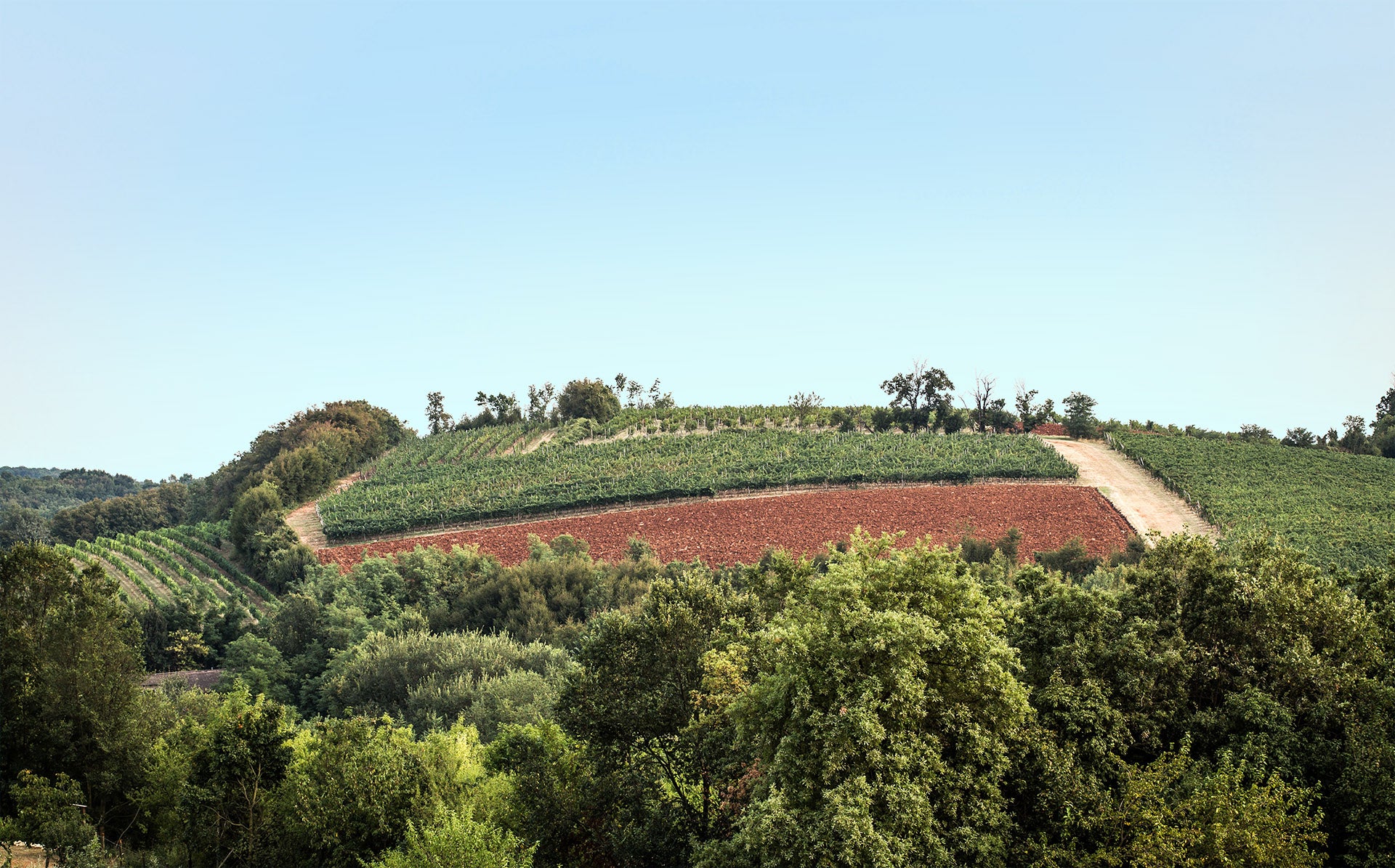 Metodo Classico  Dodici